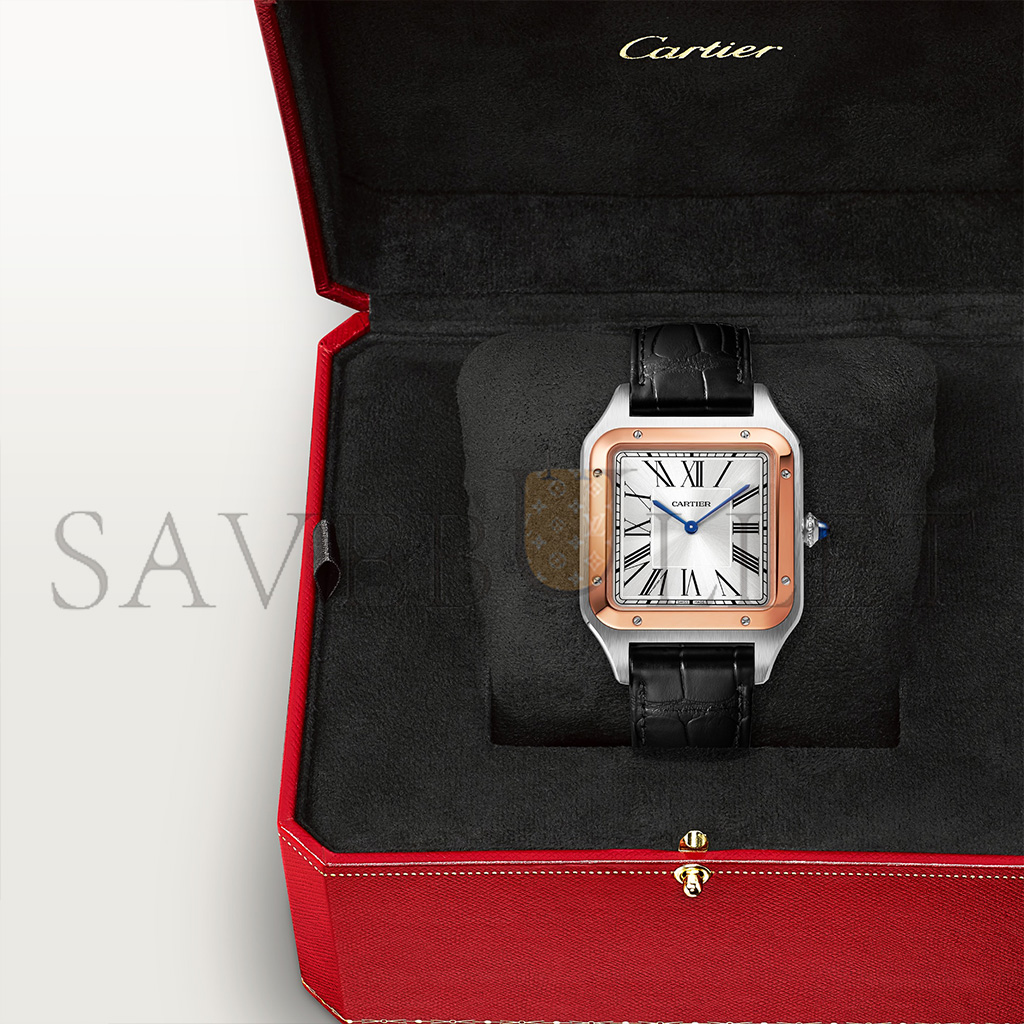 CARTIER SANTOS-DUMONT WATCH W2SA0017